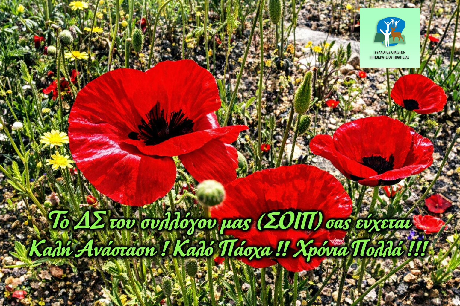 Καλή Ανάσταση  &   Καλό Πάσχα